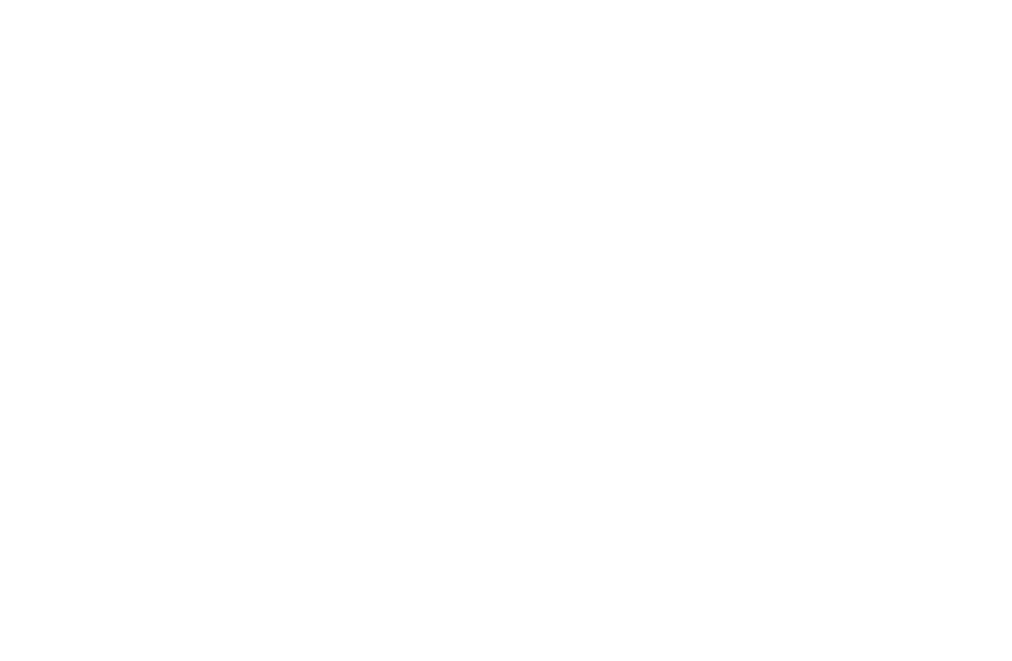 Mr & Mrs Castro Clean Service
